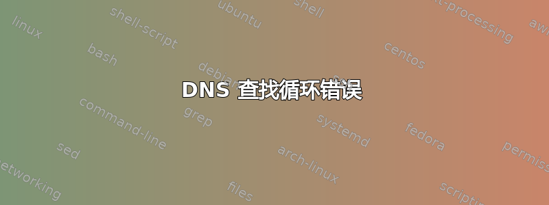 DNS 查找循环错误