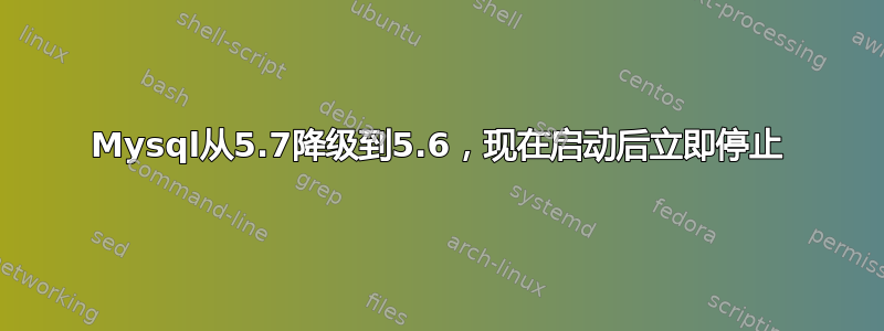 Mysql从5.7降级到5.6，现在启动后立即停止