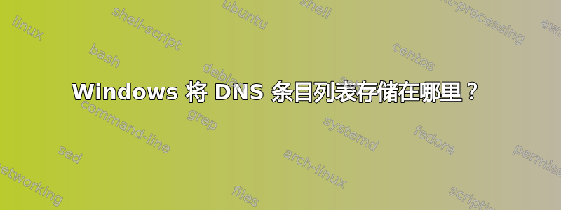 Windows 将 DNS 条目列表存储在哪里？