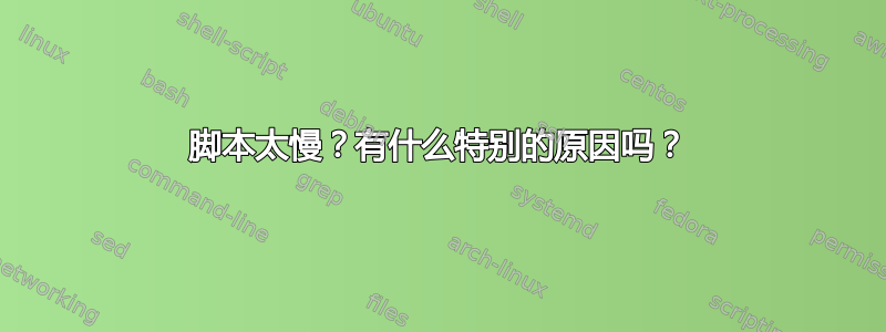 脚本太慢？有什么特别的原因吗？