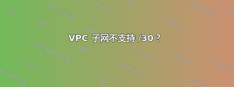 VPC 子网不支持 /30？