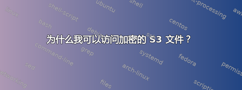 为什么我可以访问加密的 S3 文件？