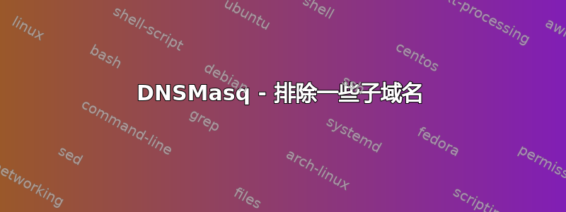 DNSMasq - 排除一些子域名