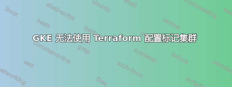 GKE 无法使用 Terraform 配置标记集群