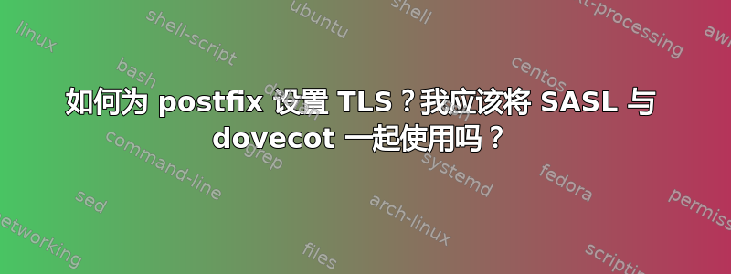 如何为 postfix 设置 TLS？我应该将 SASL 与 dovecot 一起使用吗？