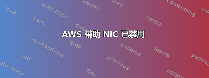 AWS 辅助 NIC 已禁用