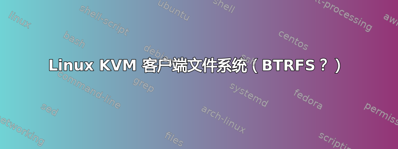 Linux KVM 客户端文件系统（BTRFS？）