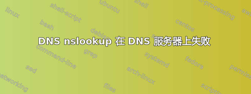 DNS nslookup 在 DNS 服务器上失败