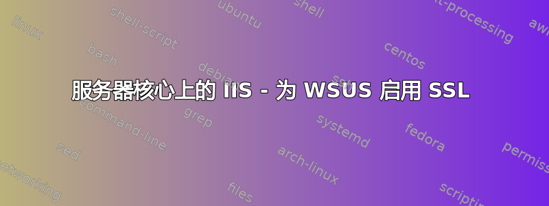 服务器核心上的 IIS - 为 WSUS 启用 SSL