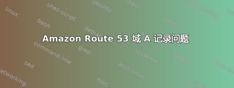 Amazon Route 53 域 A 记录问题