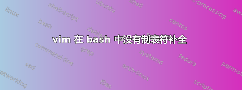 vim 在 bash 中没有制表符补全