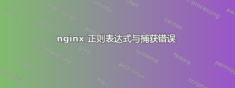 nginx 正则表达式与捕获错误