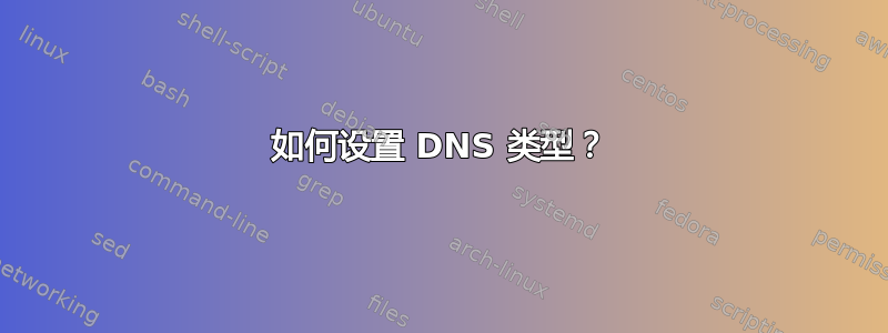 如何设置 DNS 类型？