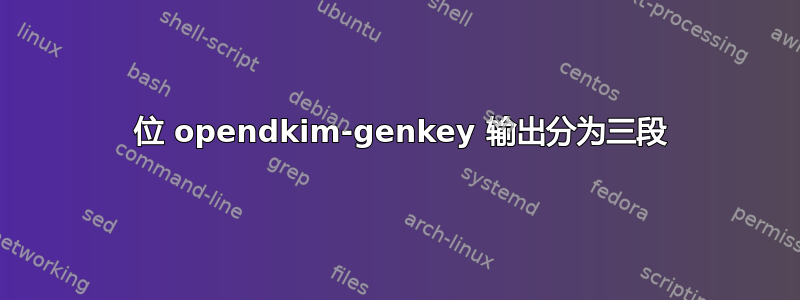 2048 位 opendkim-genkey 输出分为三段