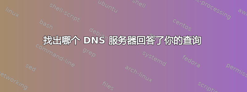 找出哪个 DNS 服务器回答了你的查询