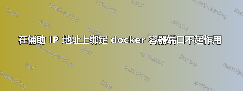 在辅助 IP 地址上绑定 docker 容器端口不起作用