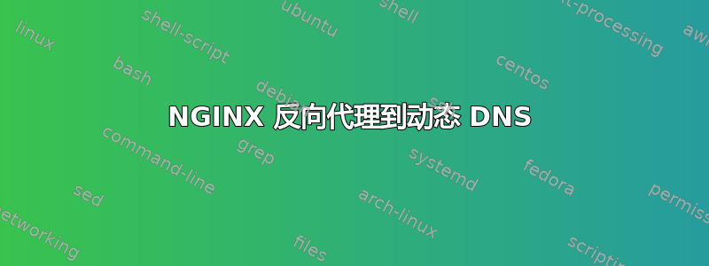 NGINX 反向代理到动态 DNS