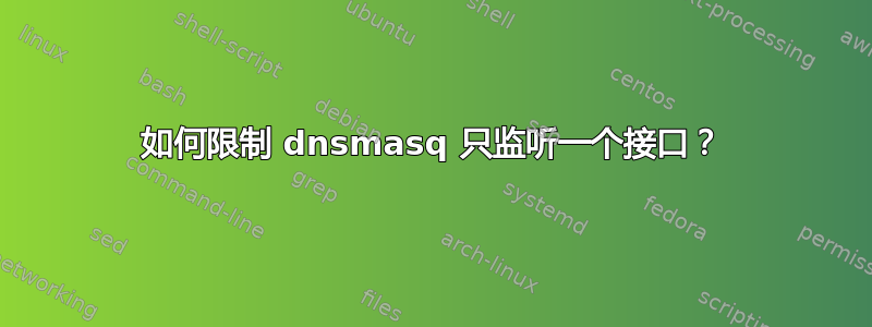 如何限制 dnsmasq 只监听一个接口？