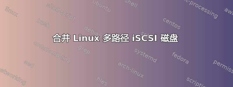 合并 Linux 多路径 iSCSI 磁盘