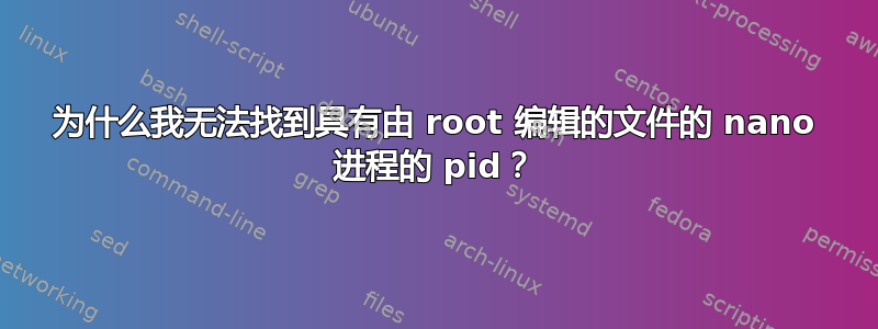 为什么我无法找到具有由 root 编辑的文件的 nano 进程的 pid？