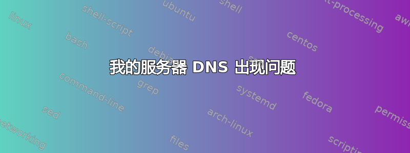 我的服务器 DNS 出现问题