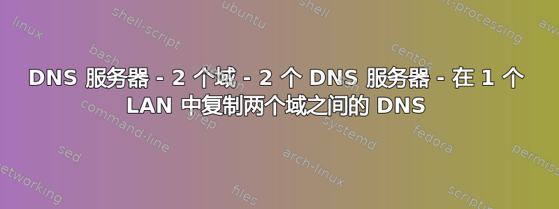 DNS 服务器 - 2 个域 - 2 个 DNS 服务器 - 在 1 个 LAN 中复制两个域之间的 DNS