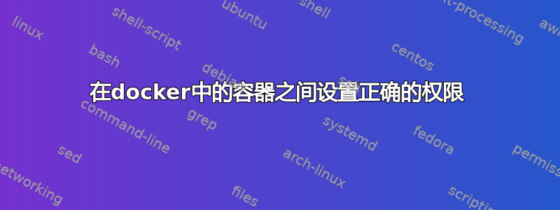 在docker中的容器之间设置正确的权限