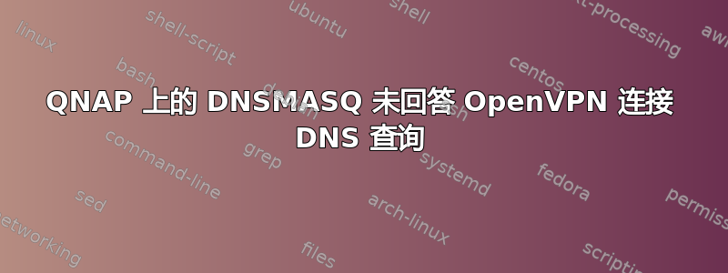 QNAP 上的 DNSMASQ 未回答 OpenVPN 连接 DNS 查询