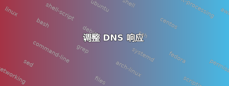 调整 DNS 响应