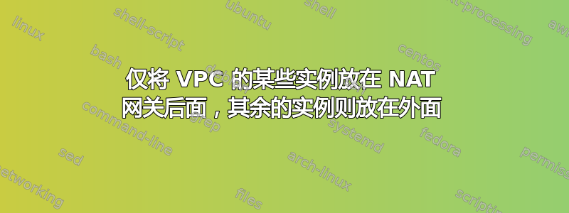 仅将 VPC 的某些实例放在 NAT 网关后面，其余的实例则放在外面