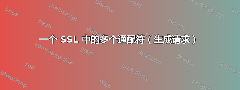 一个 SSL 中的多个通配符（生成请求）