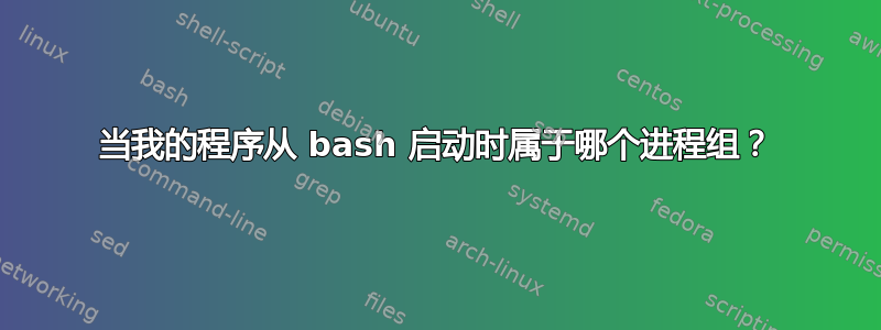 当我的程序从 bash 启动时属于哪个进程组？