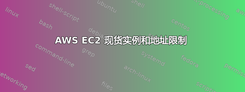 AWS EC2 现货实例和地址限制