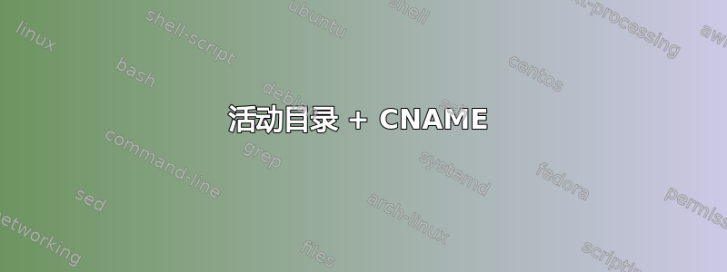 活动目录 + CNAME