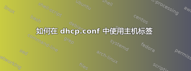 如何在 dhcp.conf 中使用主机标签