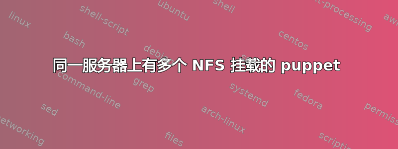 同一服务器上有多个 NFS 挂载的 puppet