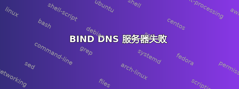 BIND DNS 服务器失败