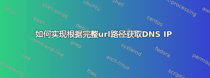 如何实现根据完整url路径获取DNS IP