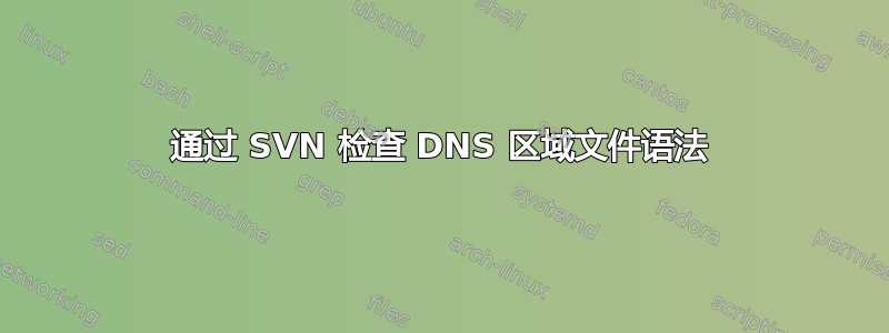 通过 SVN 检查 DNS 区域文件语法