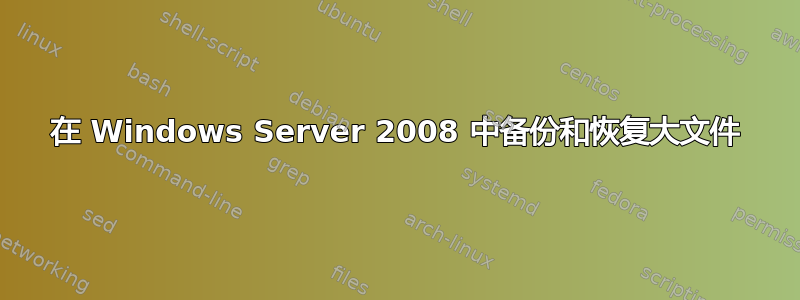 在 Windows Server 2008 中备份和恢复大文件