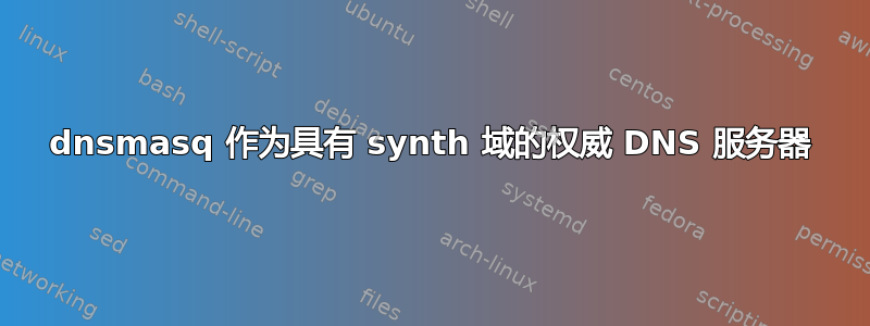 dnsmasq 作为具有 synth 域的权威 DNS 服务器