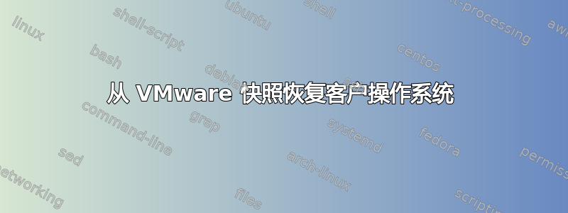 从 VMware 快照恢复客户操作系统