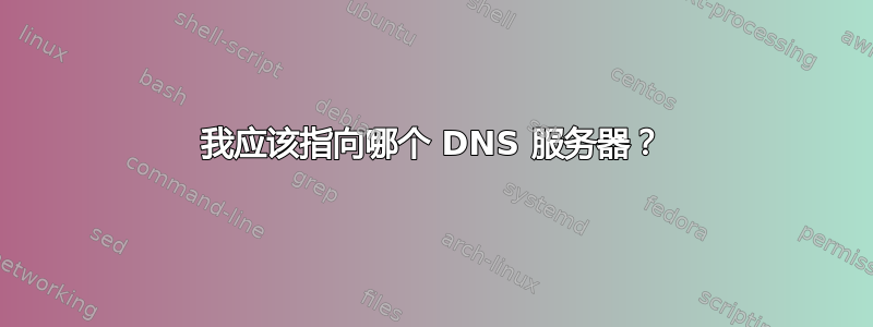 我应该指向哪个 DNS 服务器？