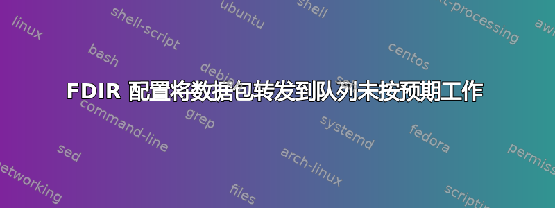 FDIR 配置将数据包转发到队列未按预期工作