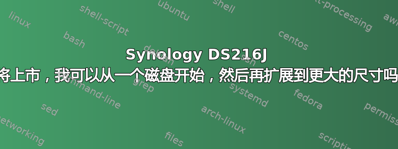 Synology DS216J 即将上市，我可以从一个磁盘开始，然后再扩展到更大的尺寸吗？