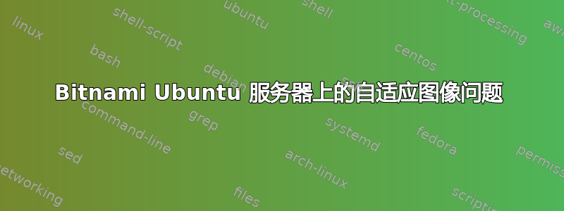 Bitnami Ubuntu 服务器上的自适应图像问题