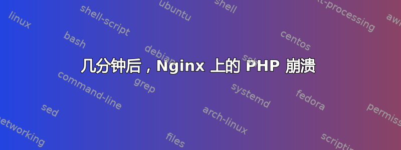 几分钟后，Nginx 上的 PHP 崩溃