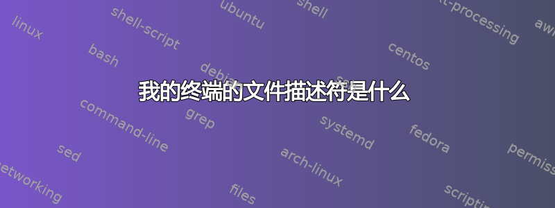 我的终端的文件描述符是什么