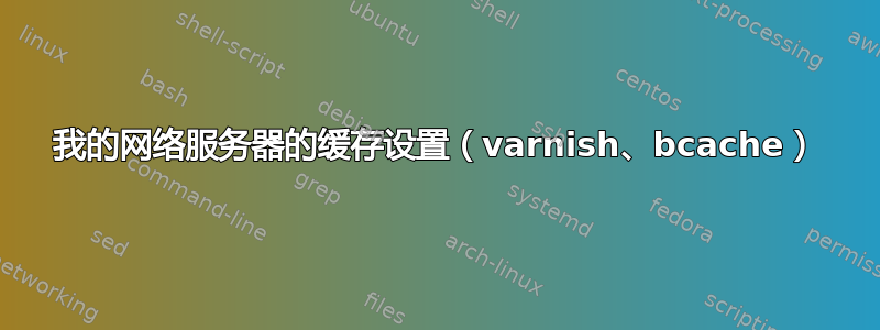 我的网络服务器的缓存设置（varnish、bcache）