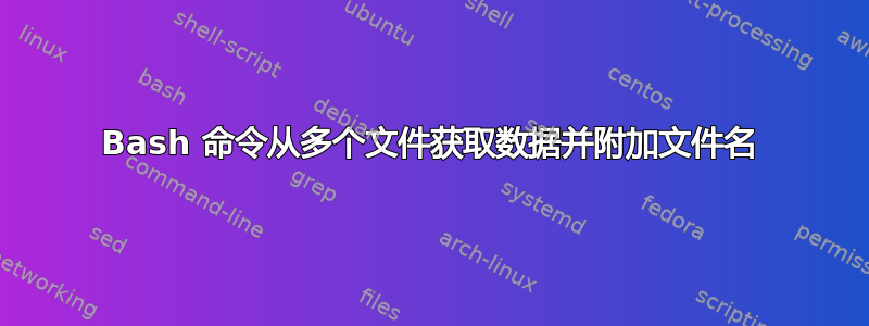 Bash 命令从多个文件获取数据并附加文件名